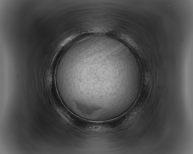 X0000085770632200703231224