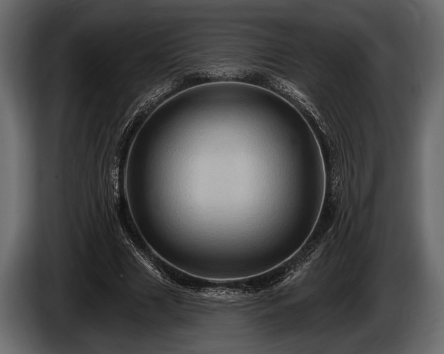 X0000085770633200703231224