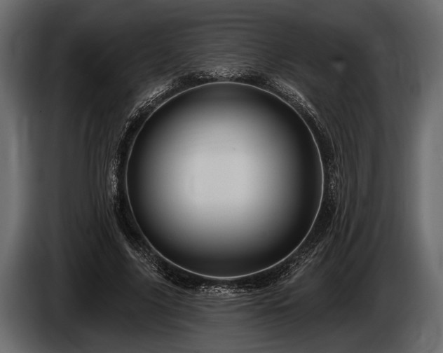 X0000085770635200703231224