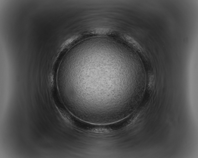 X0000085770636200703231224