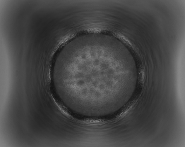 X0000085770638200703231224