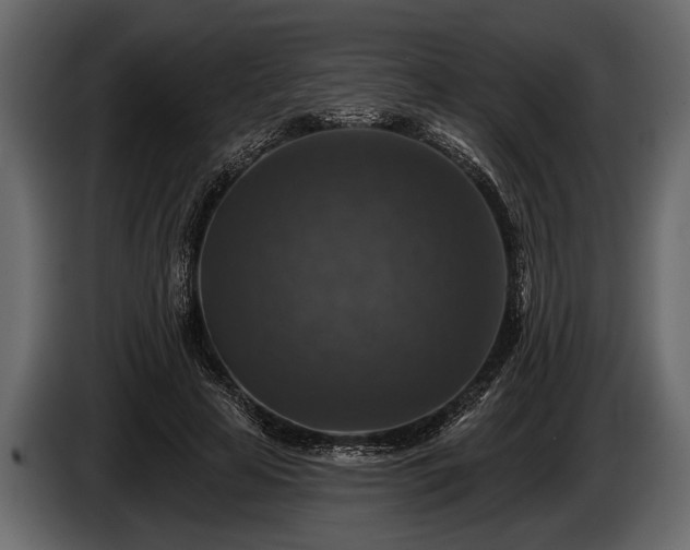 X0000085770641200703231224