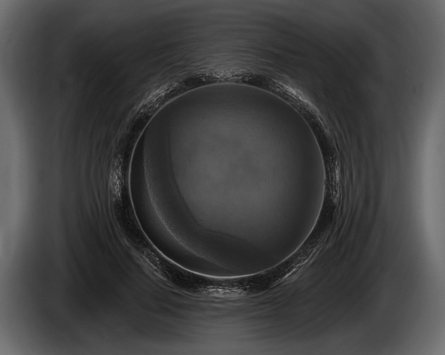 X0000085770644200703231224