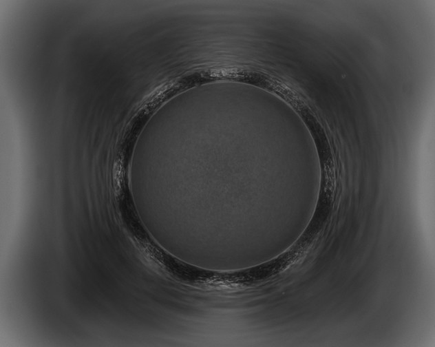 X0000085770648200703231224