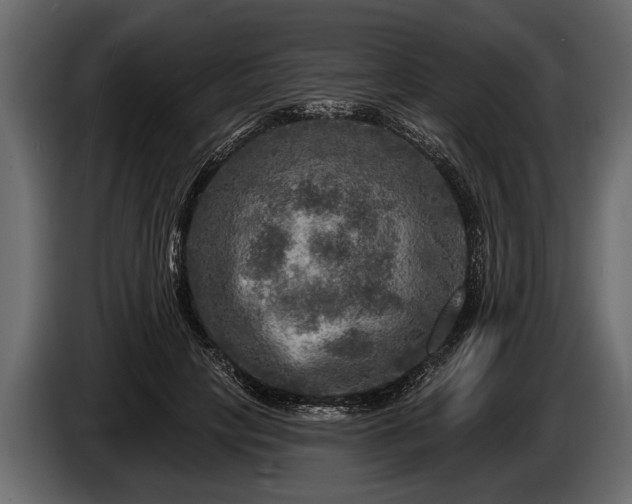 X0000085770649200703231224