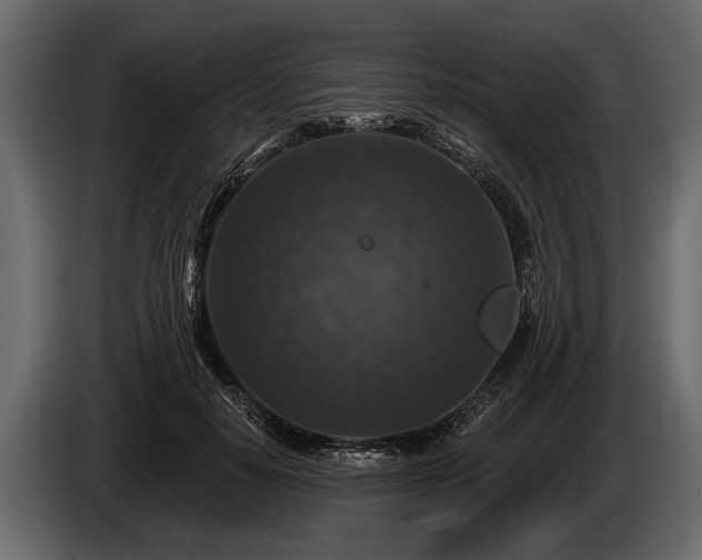 X0000085770650200703231224