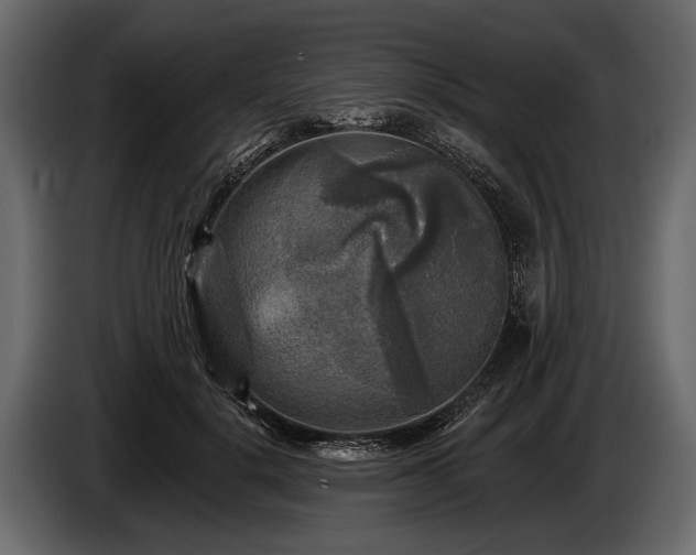 X0000085770652200703231224