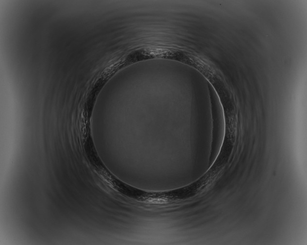 X0000085770653200703231224