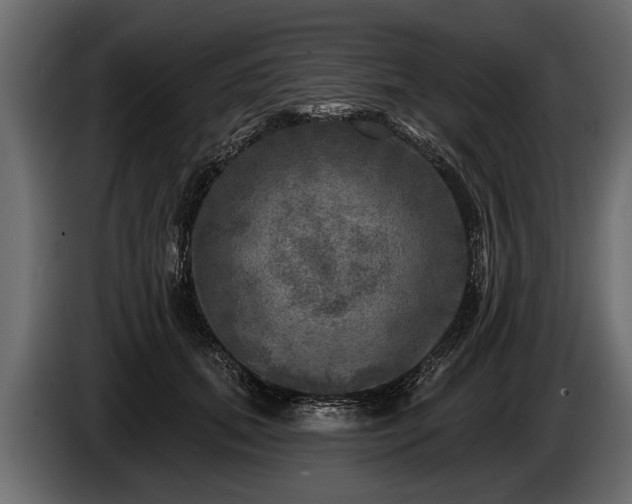 X0000085770655200703231224