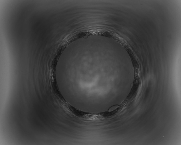 X0000085770663200703231225