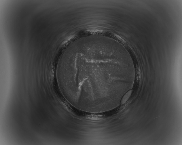 X0000085770664200703231225