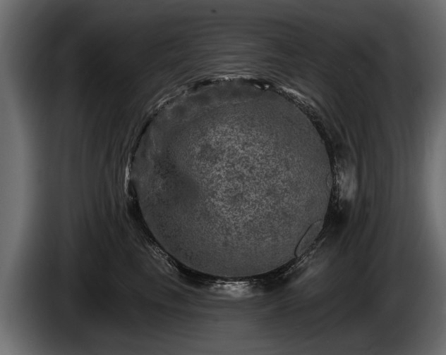 X0000085770665200703231225