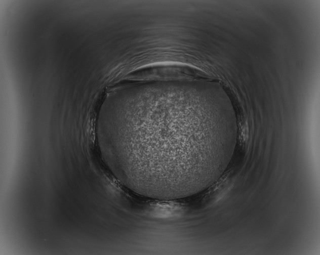 X0000085770666200703231225