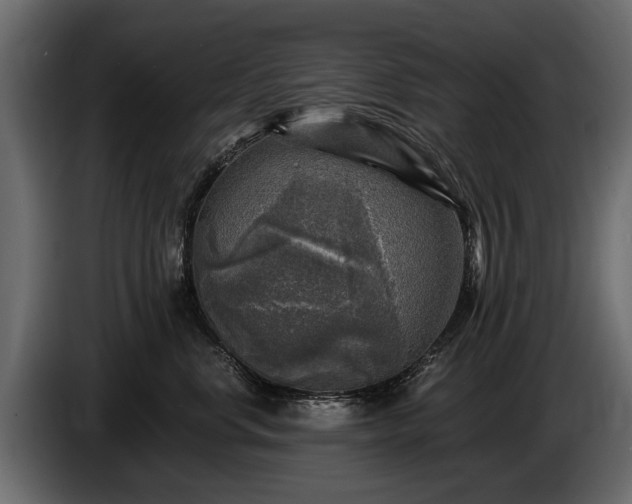 X0000085770668200703231225