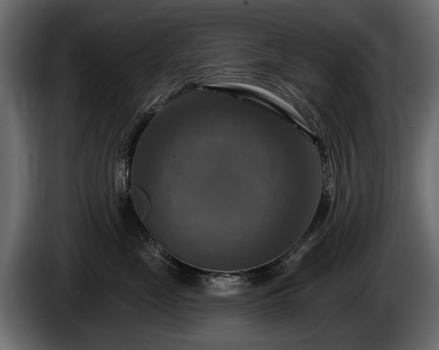 X0000085770669200703231225