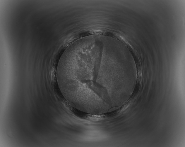 X0000085770671200703231225