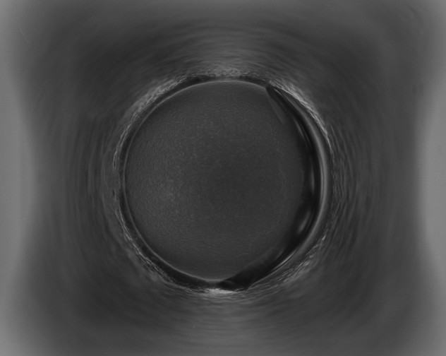 X0000085770673200703231224