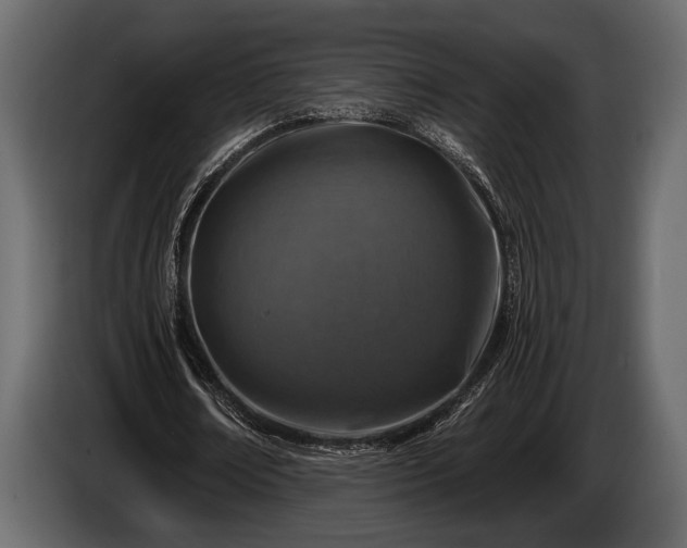 X0000085770674200703231224