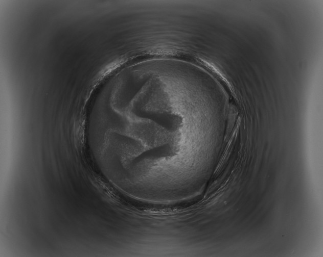 X0000085770675200703231224