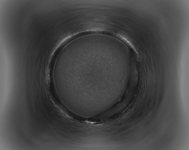 X0000085770676200703231224