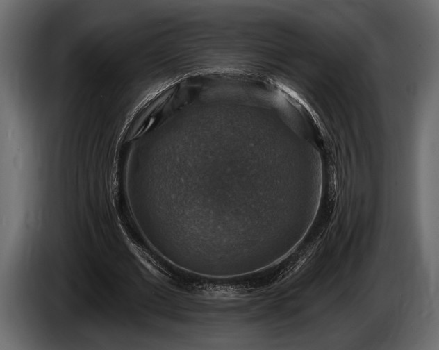 X0000085770677200703231224