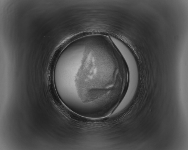 X0000085770680200703231224