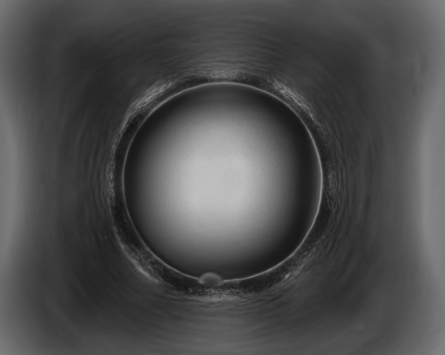 X0000085770682200703231224