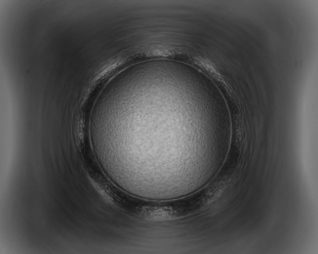 X0000085770683200703231224