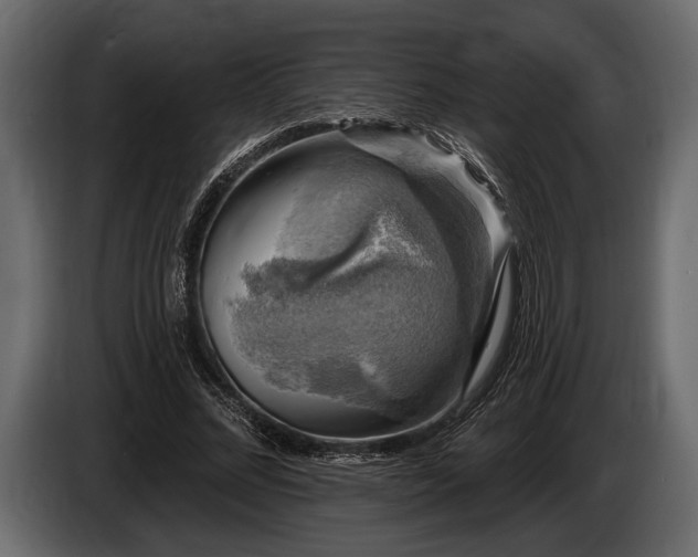 X0000085770684200703231224