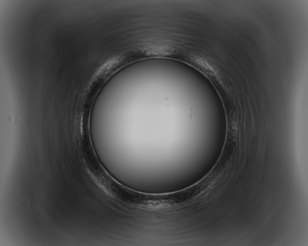 X0000085770686200703231224