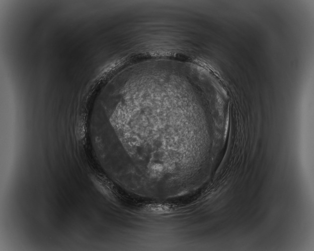 X0000085770687200703231224