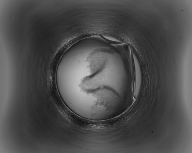 X0000085770688200703231224