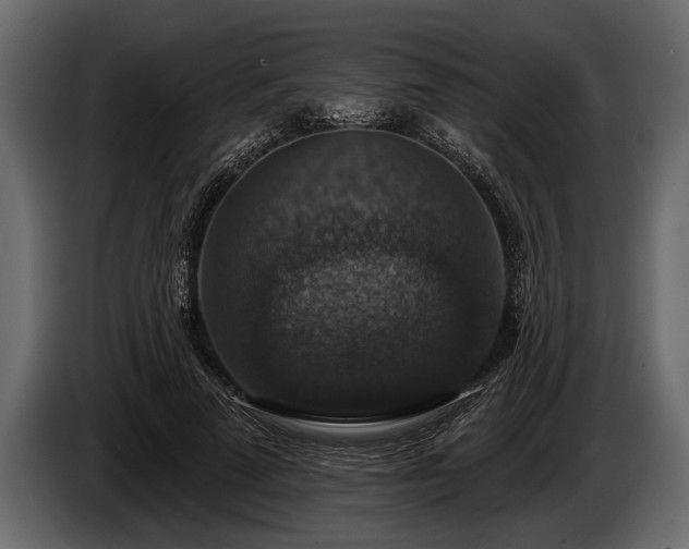 X0000085770689200703231224