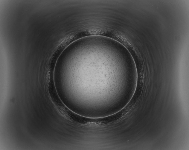 X0000085770690200703231224