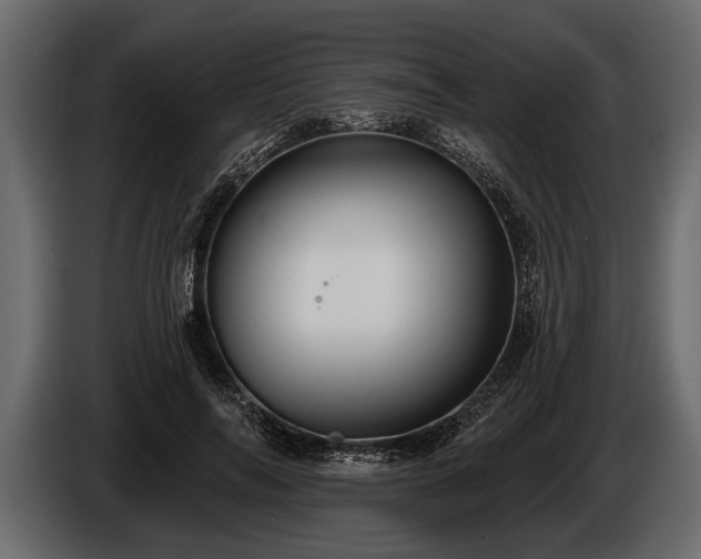 X0000085770694200703231224