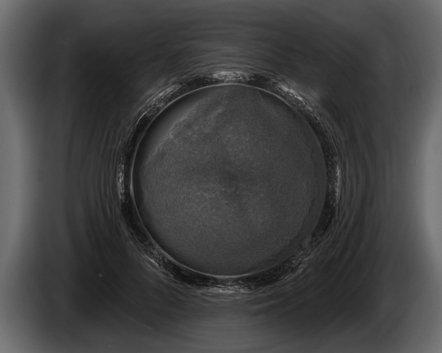 X0000085770696200703231224