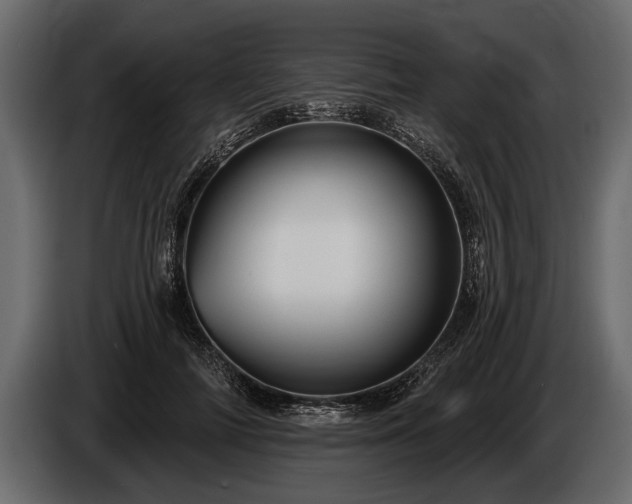 X0000085770698200703231224