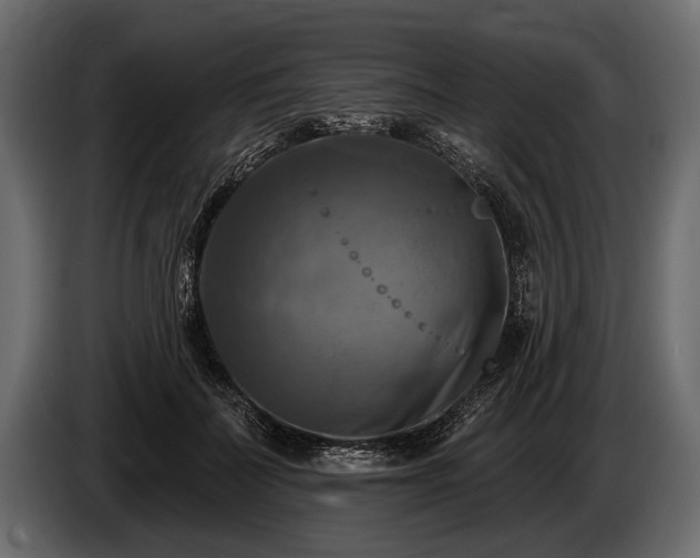 X0000085770699200703231224