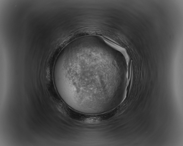 X0000085770700200703231224