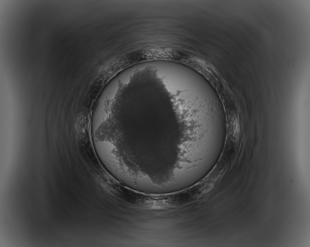 X0000085770701200703231224