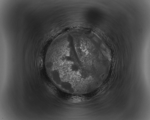 X0000085770703200703231224