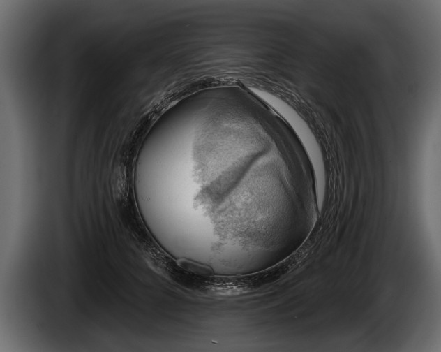 X0000085770704200703231224