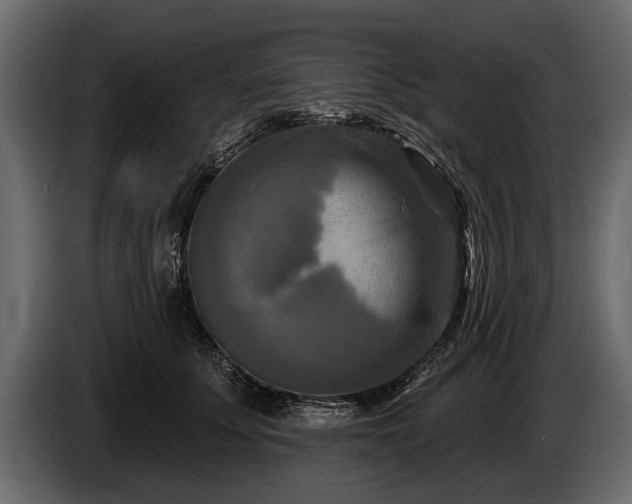 X0000085770707200703231224