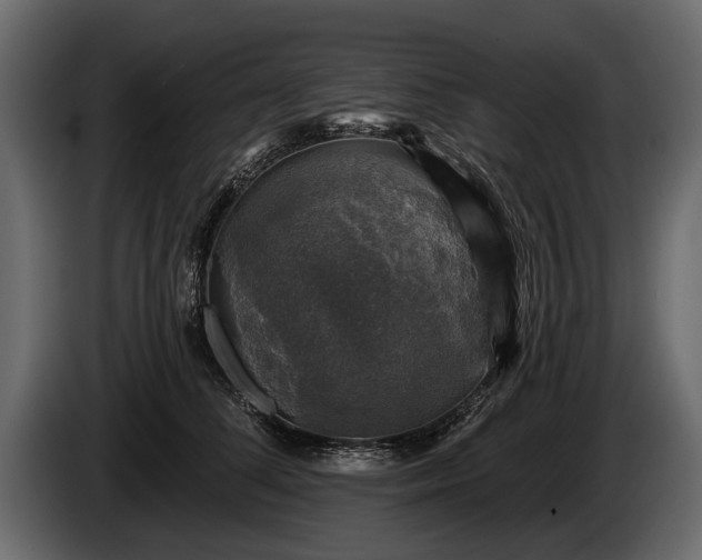 X0000085770708200703231223