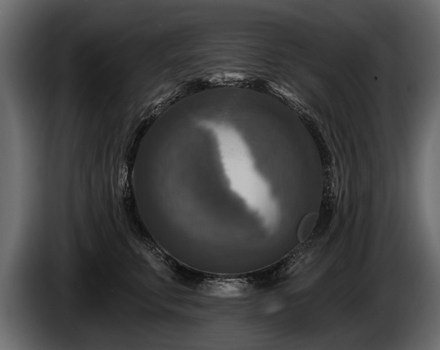 X0000085770711200703231223