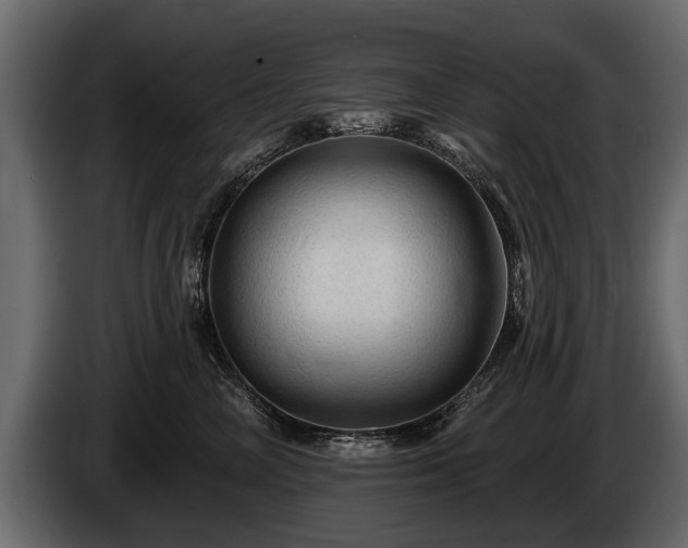 X0000085770714200703231223