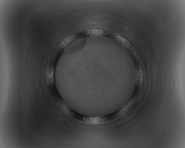 X0000085770717200703231223