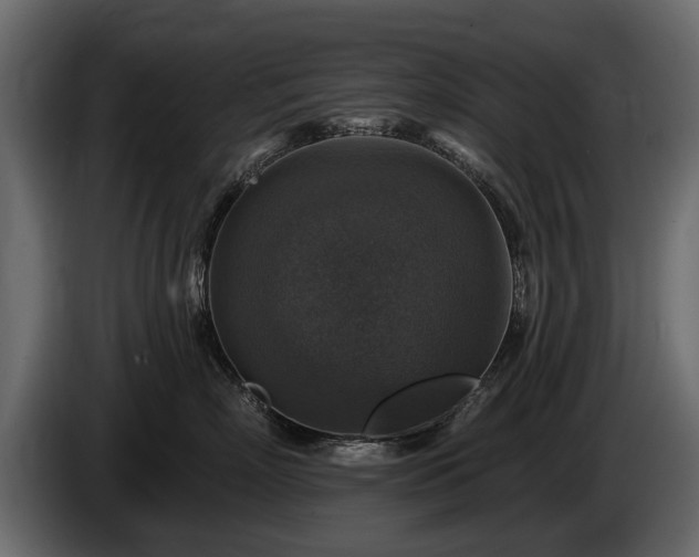 X0000085770718200703231223