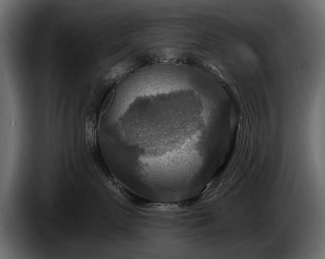 X0000085770719200703231223