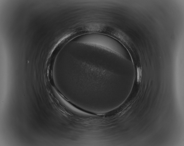 X0000085770723200703231223